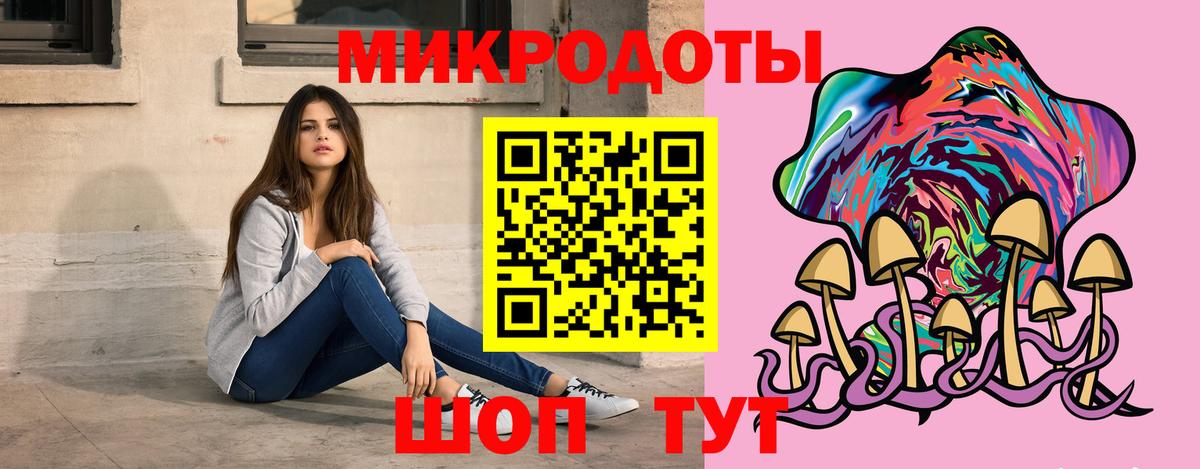 Галлюциногенные грибы Psilocybe Кемерово