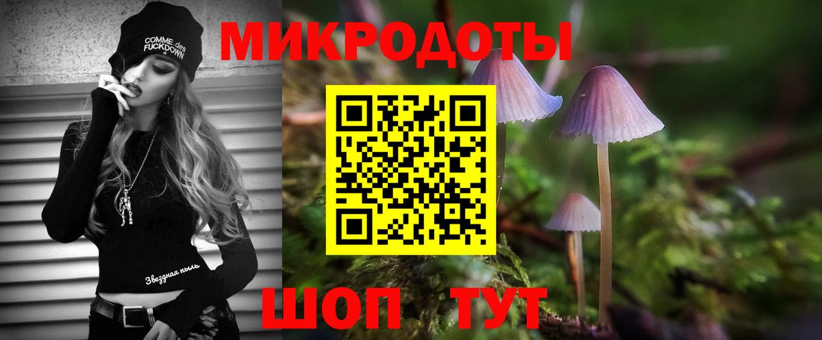 купить   Вход с VPN  Кемерово  Псилоцибиновые грибы MAGIC MUSHROOMS 